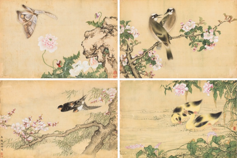 沈南蘋 掛軸孔雀図買取実績｜日晃堂 買取実績 【中国古美術】 ・