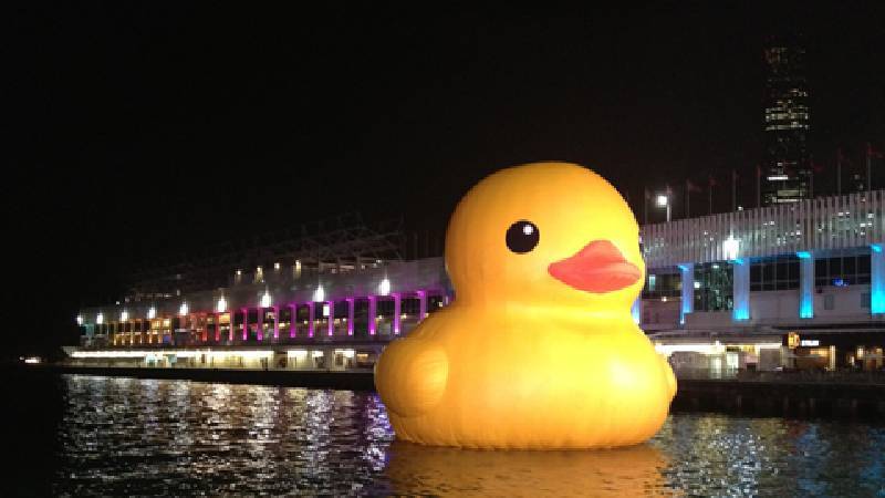 6月曾於香港展出的黃色小鴨。圖／非池中藝術網攝。