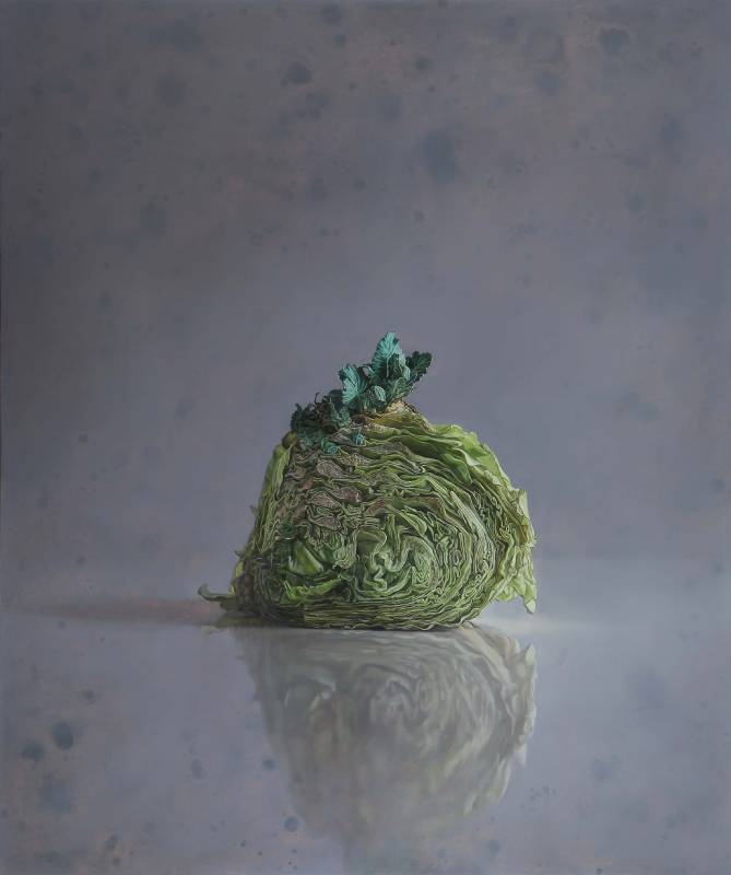林正哲-高麗菜-Cabbage-麻布油彩-72.5x60.5cm／20F-2014