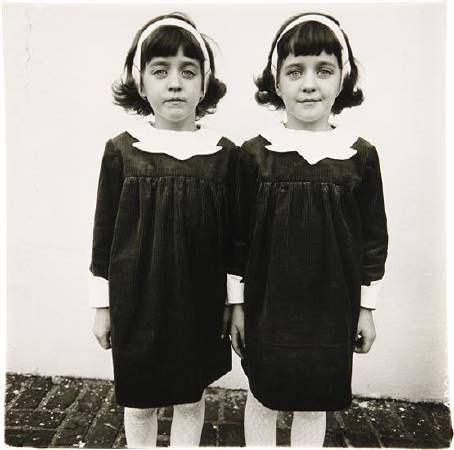 Identical Twins, 1967。圖/取自Wikipedia。