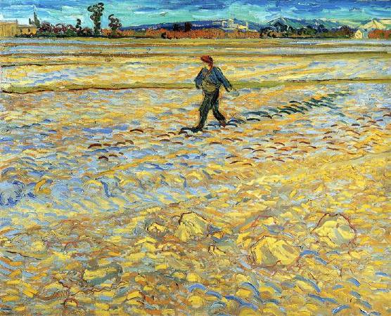 Van Gogh，《sower》，1888。圖/取自wikiart。