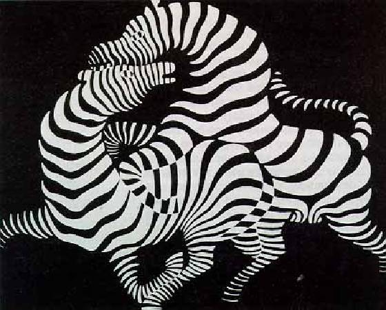 Victor Vasarely，《Zebra》，1937。圖/取自wikiart。