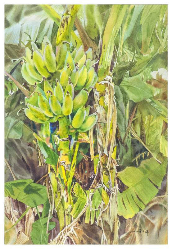黃文祥  叔叔家的香蕉樹  2016