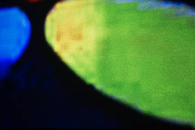杜珮詩《抽象與真人動畫的「2014年10月18日戈洛夫金大戰魯比奧」》局部。圖/非池中藝術網攝。