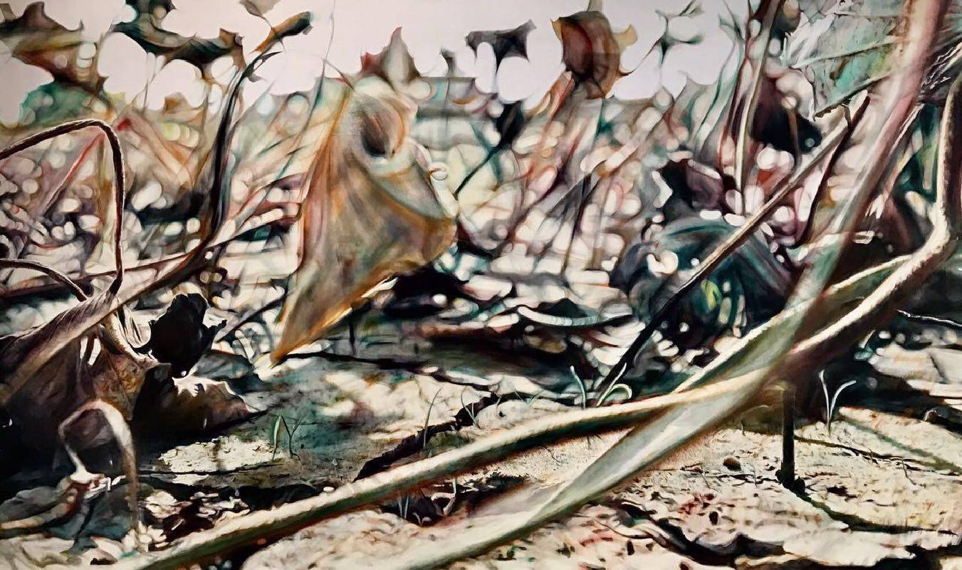 黃敏俊 Huang Ming Chun，殘荷入夢2 The Dream of Withered Lotus 2 160×260cm 布面油彩 Oil on Canvas 2017