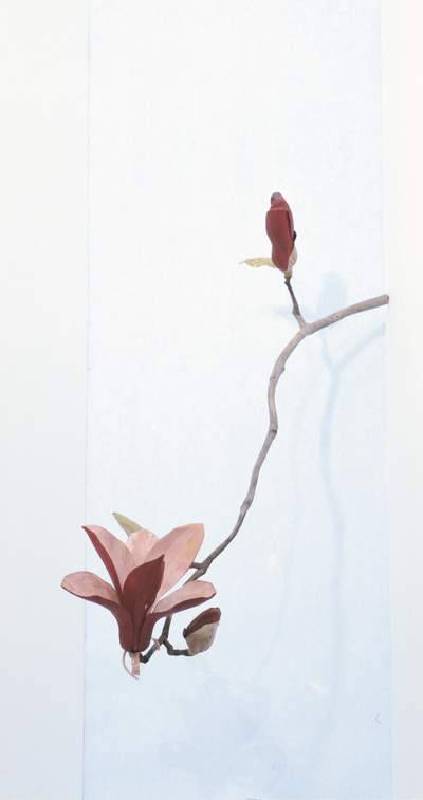 深紅色木蓮花 Crimson Magnolia, 須田悅弘(SUDA Yoshihiro), 1998	