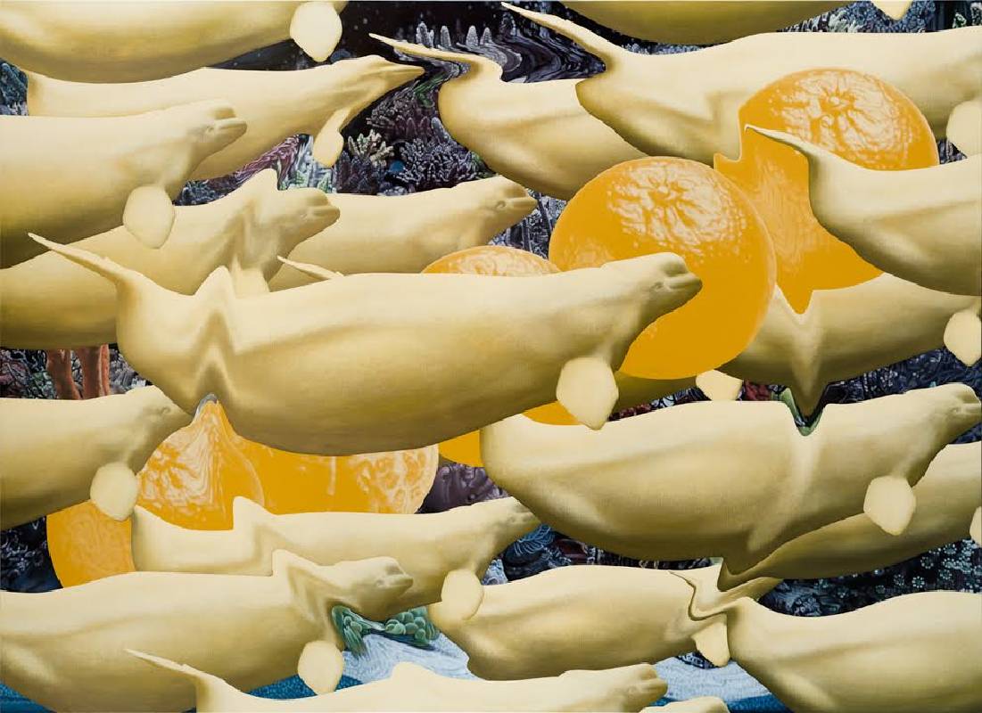 有錢圖－鯨鯨鯨鯨鯨...、五橘, 黃舜廷