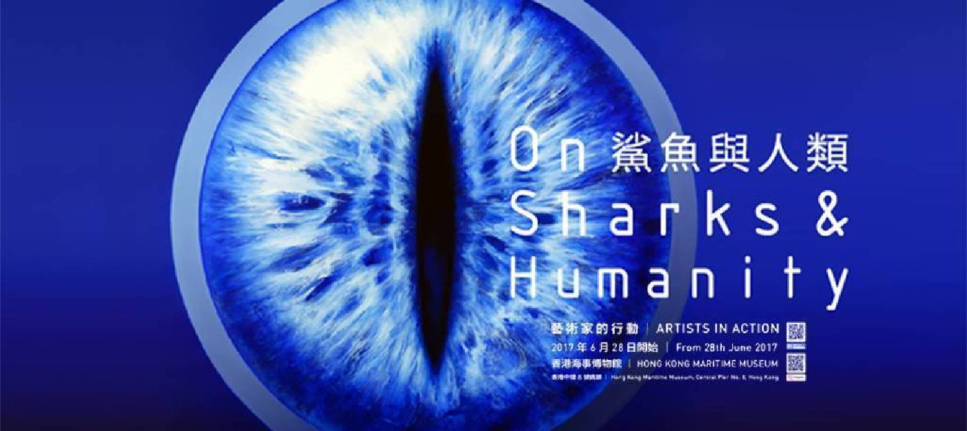 鯊魚與人類 On Sharks & Humanity