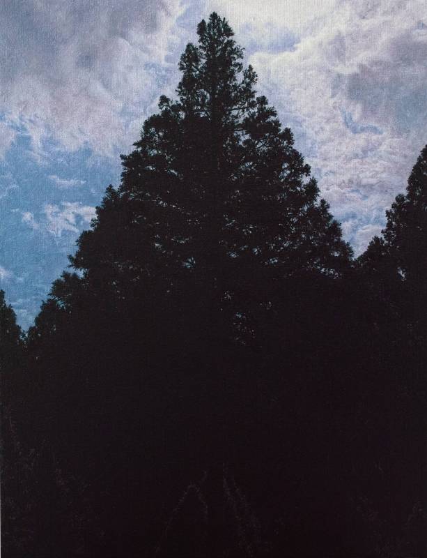 廖震平Liao Zen-Ping, 三角形的樹 triangle trees, 油彩、麻布oil on linen, 53x41cm, 2017