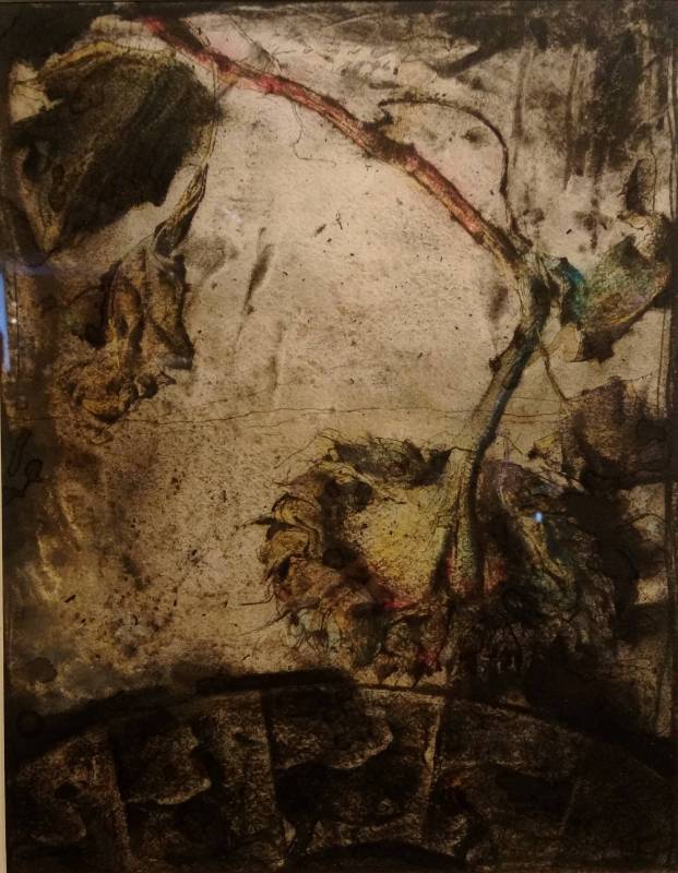 梁兆熙 <素描>，1996，炭筆、粉彩於紙上，34x26.5cm        