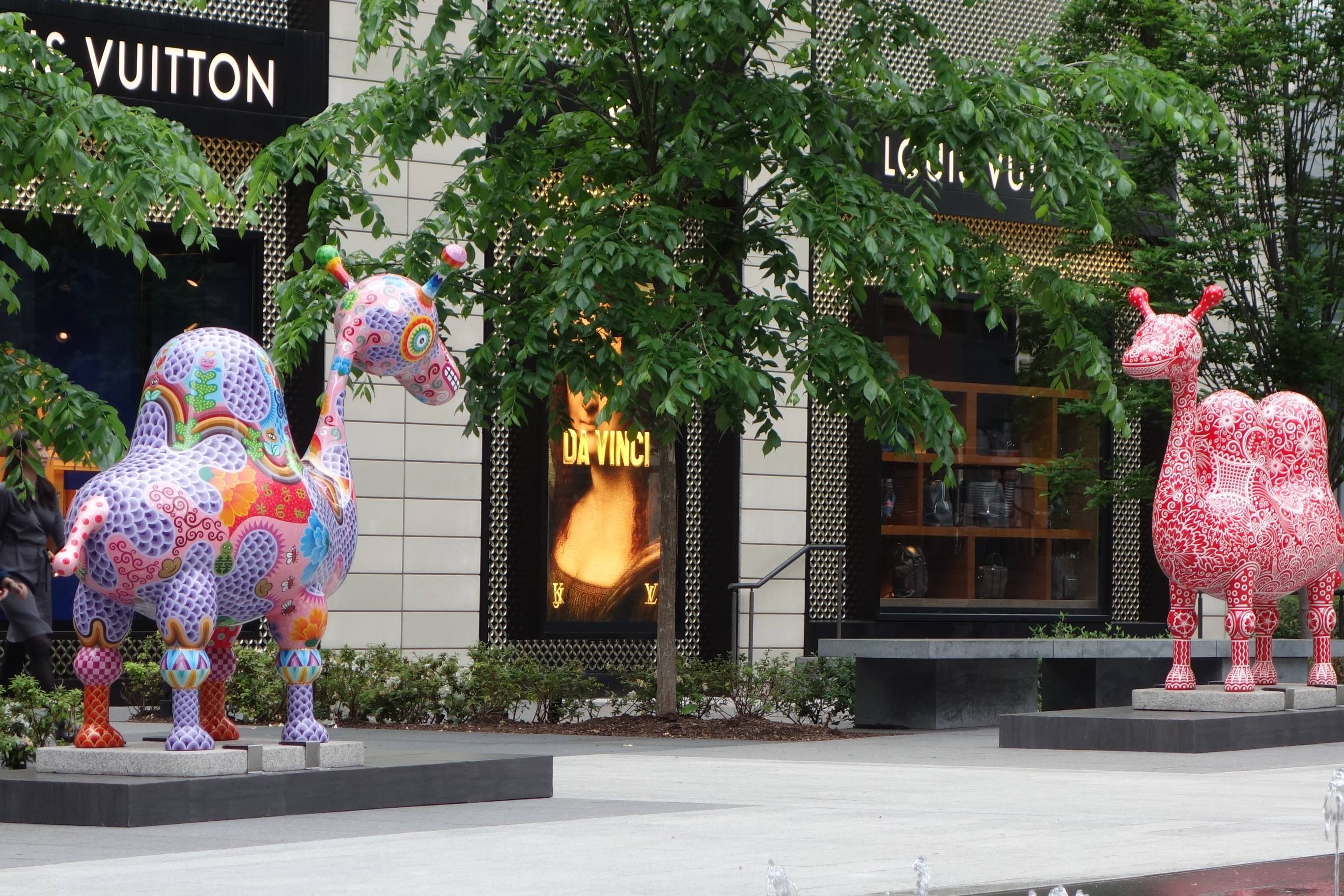 美國華盛頓DC 城市中心 洪易