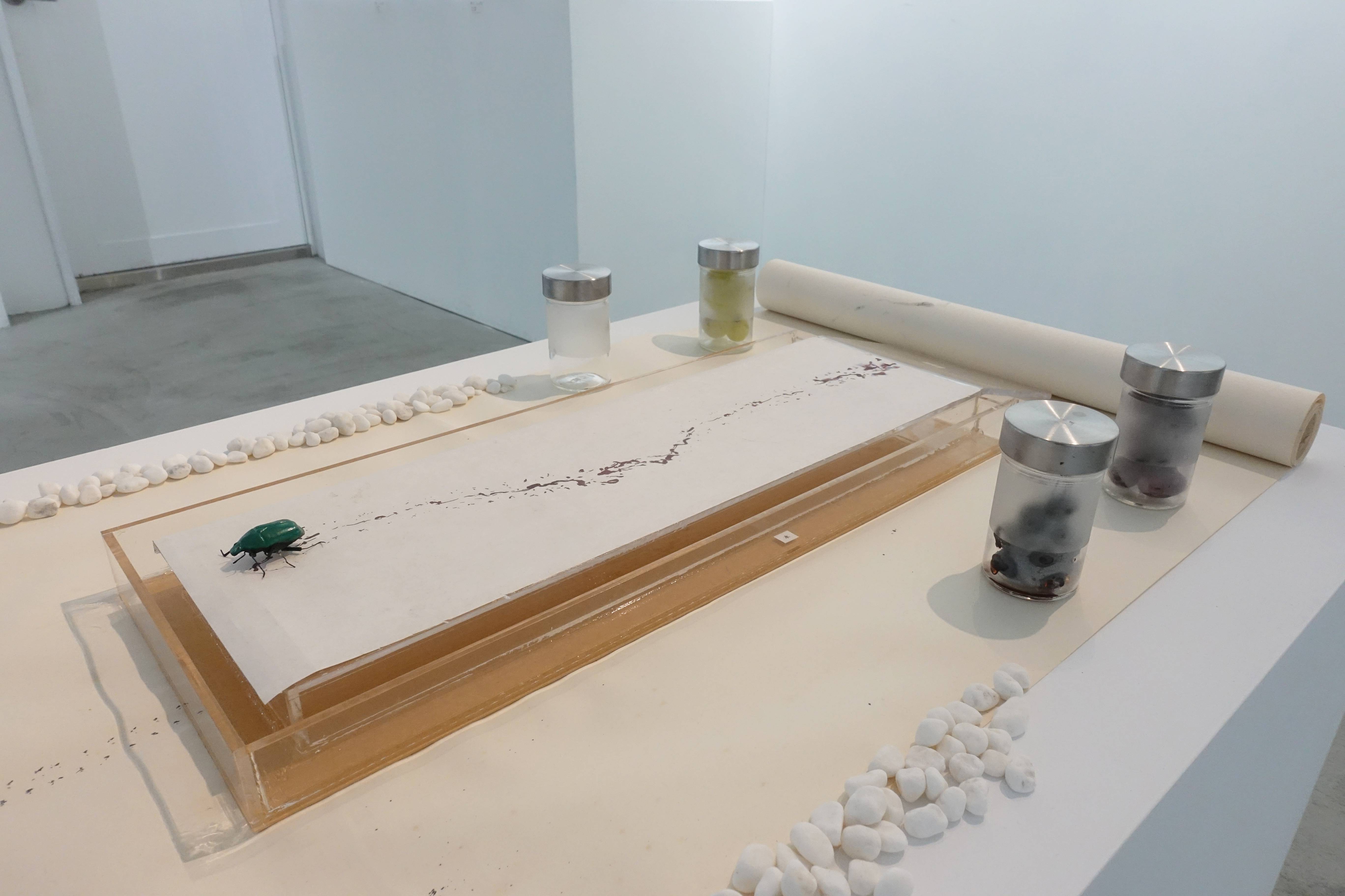 【蟲文展——朱贏椿與蟲子們的紙上邂逅】作品23號於展場空間展示。