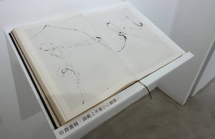 雄獅星空：蟲文展-朱贏椿與蟲子們的紙上邂逅- 非池中藝術網