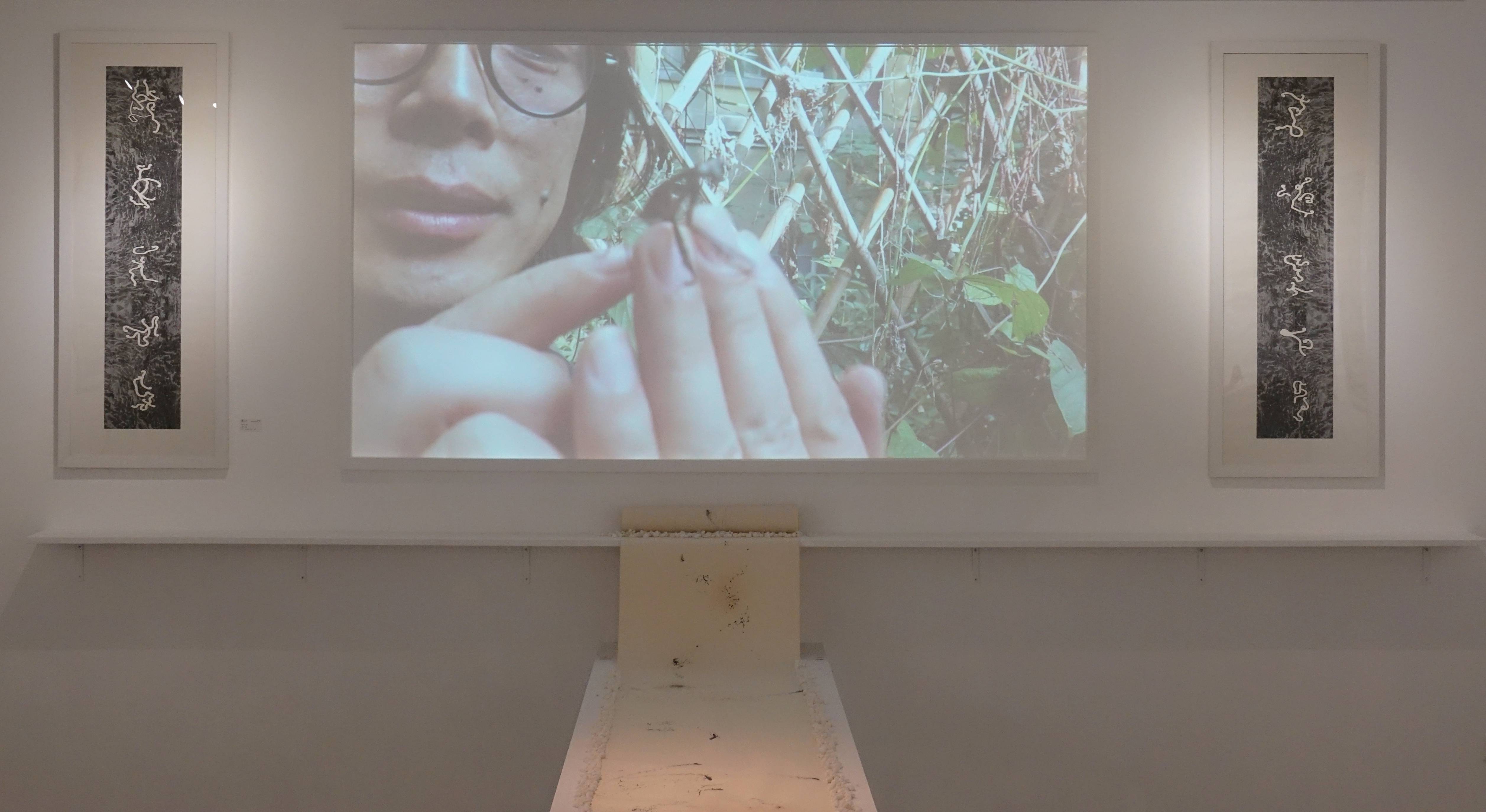 【蟲文展——朱贏椿與蟲子們的紙上邂逅】藝術家與昆蟲相處紀錄片。