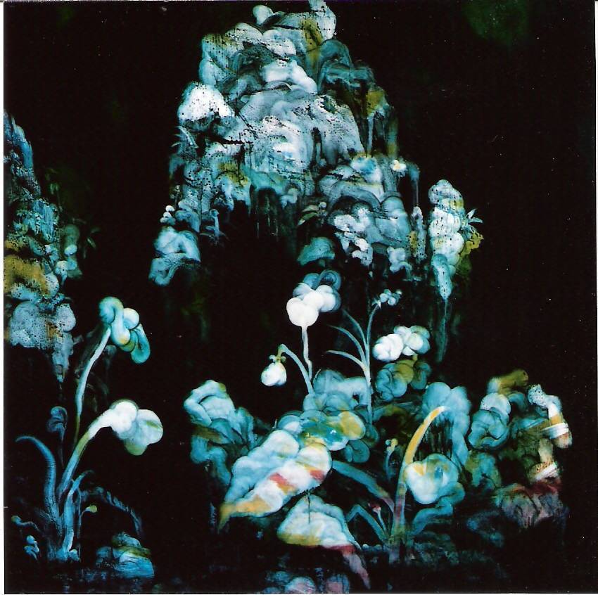 常陵|五花肉-肉山水-花欉間有山|2008|油彩|130x130cm