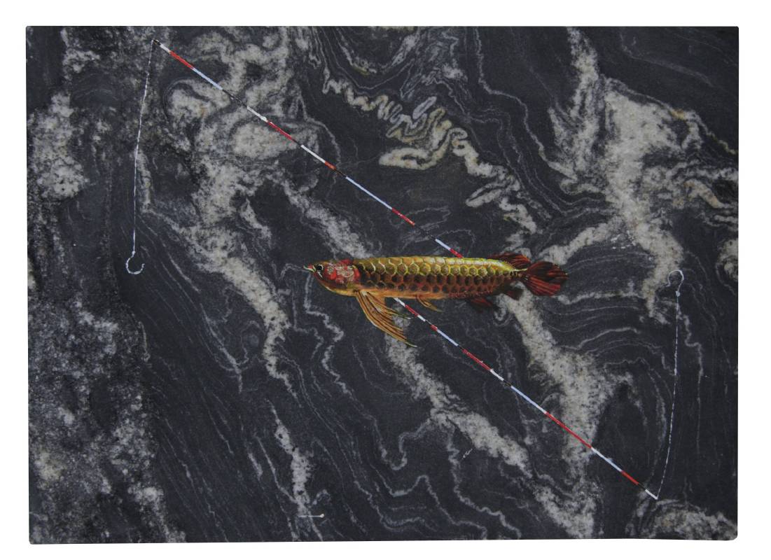 願者 Willer 2019 44.6x60.8 cm 壓克力、大理石、魚鉤、金箔 Acrylic, marble, fish hook and gold foil