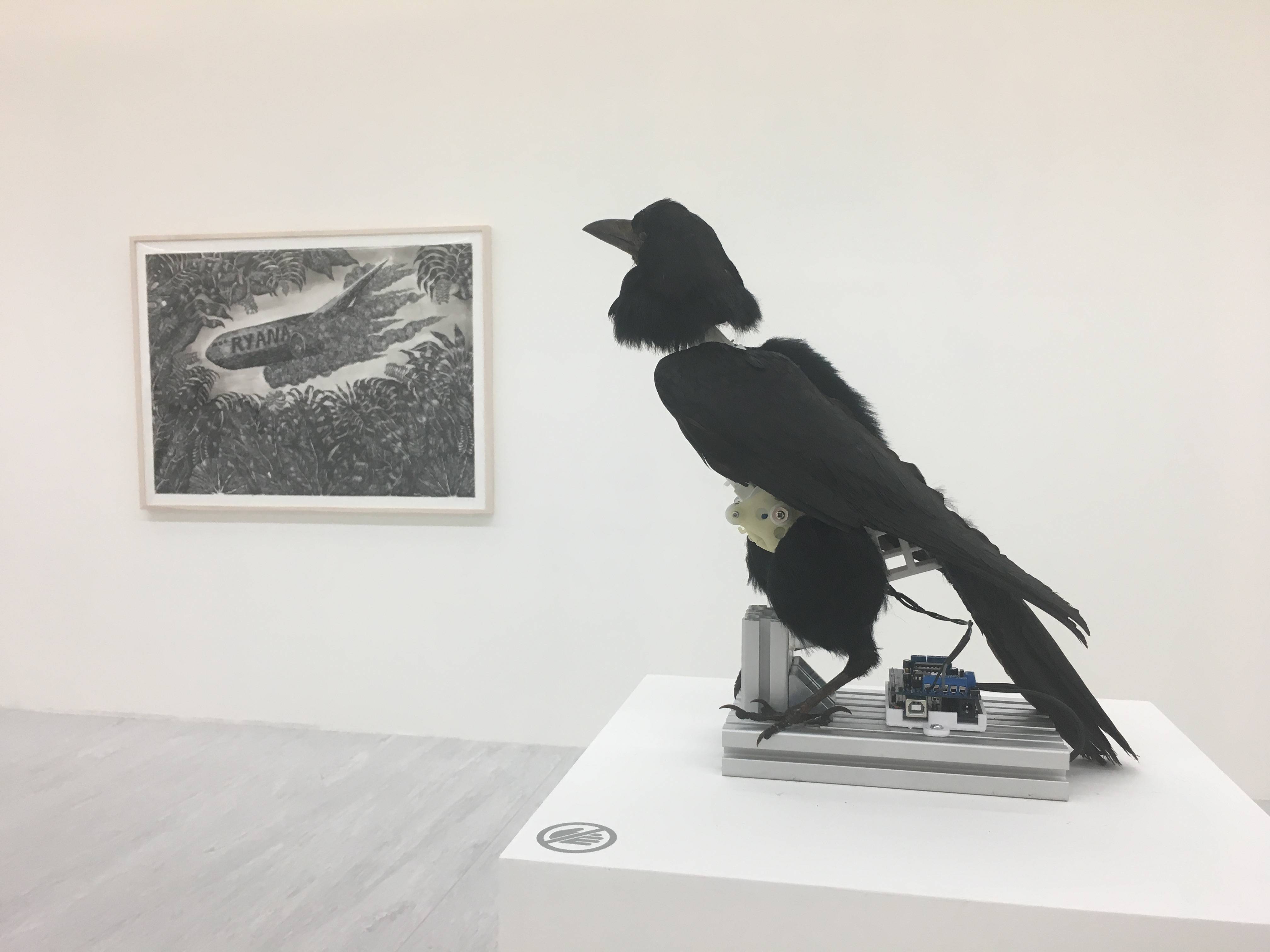【Kosmos】張碩尹個展　張碩尹，《南冥有鳥，其名為鵬》，標本鳥、鋁、3D列印物件、電子零件，30x15x30cm，2016。