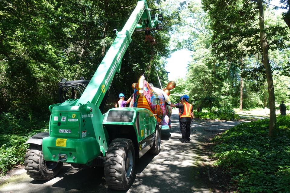 經過森林的超高難度布展過程，非常具挑戰性