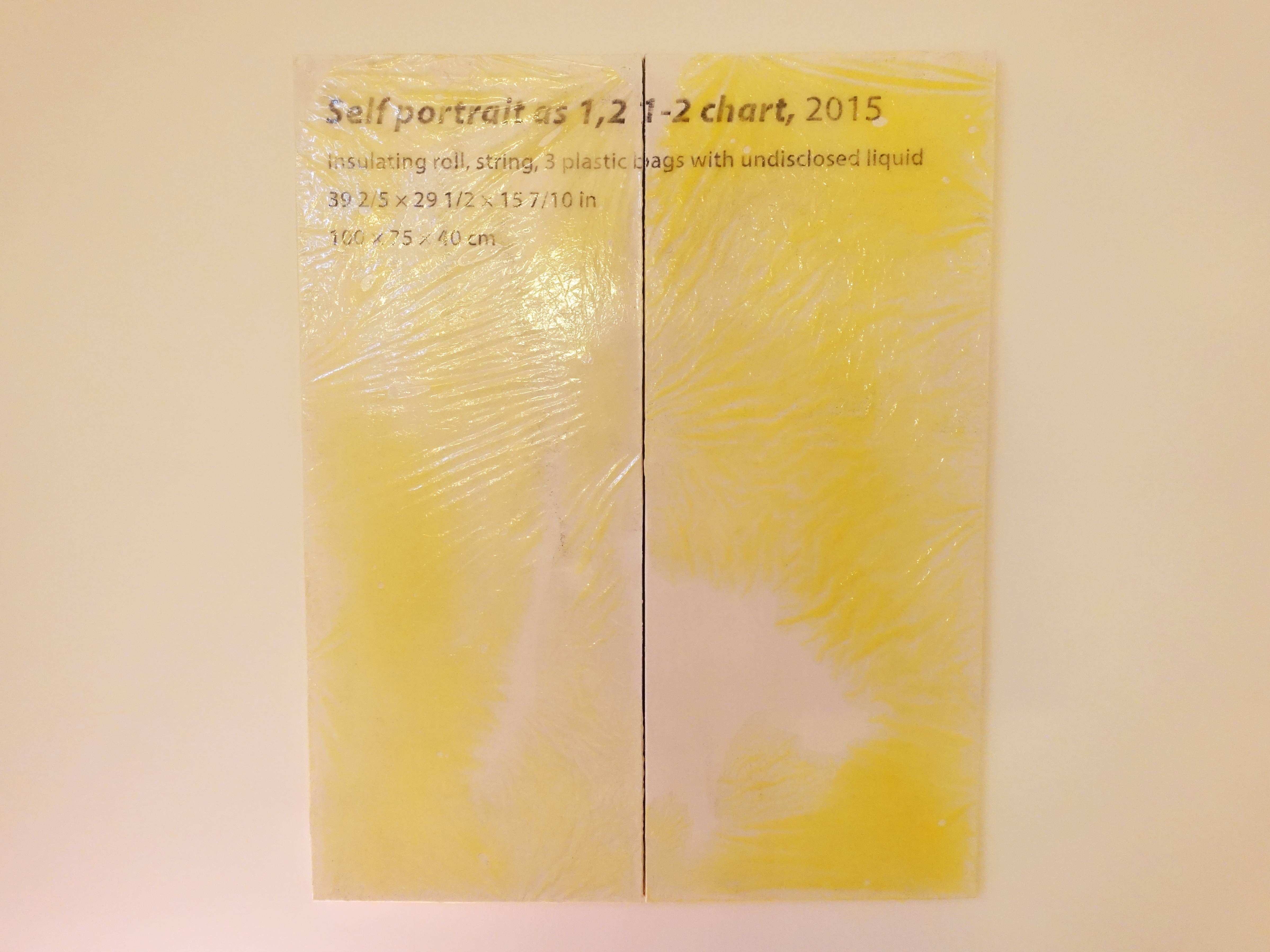 羅智信，《Self portrait as 1,2 1-2 chat 》，80 x 100 cm，畫布、碳粉、樹脂、染料，2019。