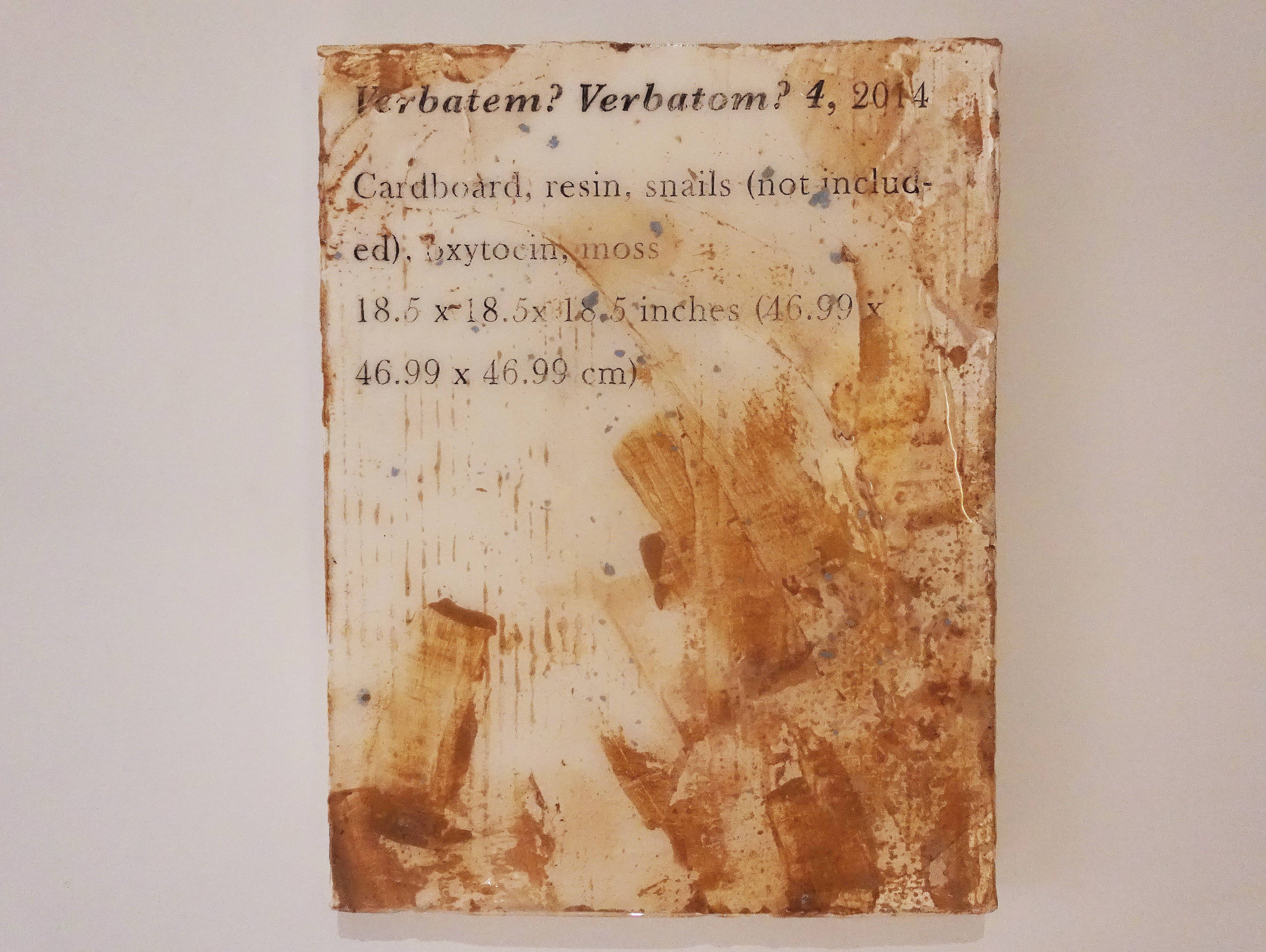 羅智信，《Verbatem?verbatom?4》，27 x 35 cm，畫布、碳粉、樹脂、威爾剛、蝸牛(包含在作品中)，2019。