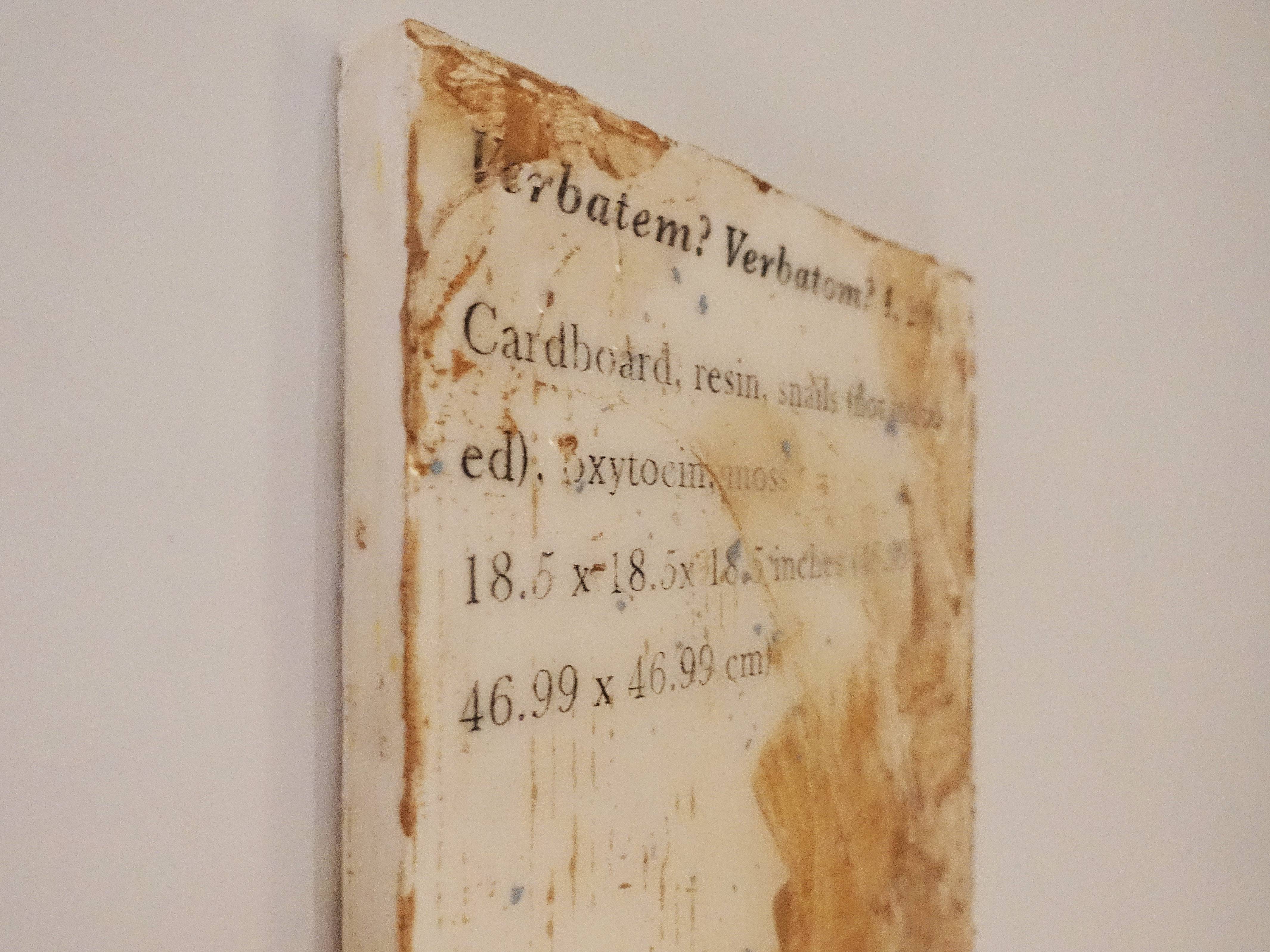 羅智信，《Verbatem?verbatom?4》細節，27 x 35 cm，畫布、碳粉、樹脂、威爾剛、蝸牛(包含在作品中)，2019。