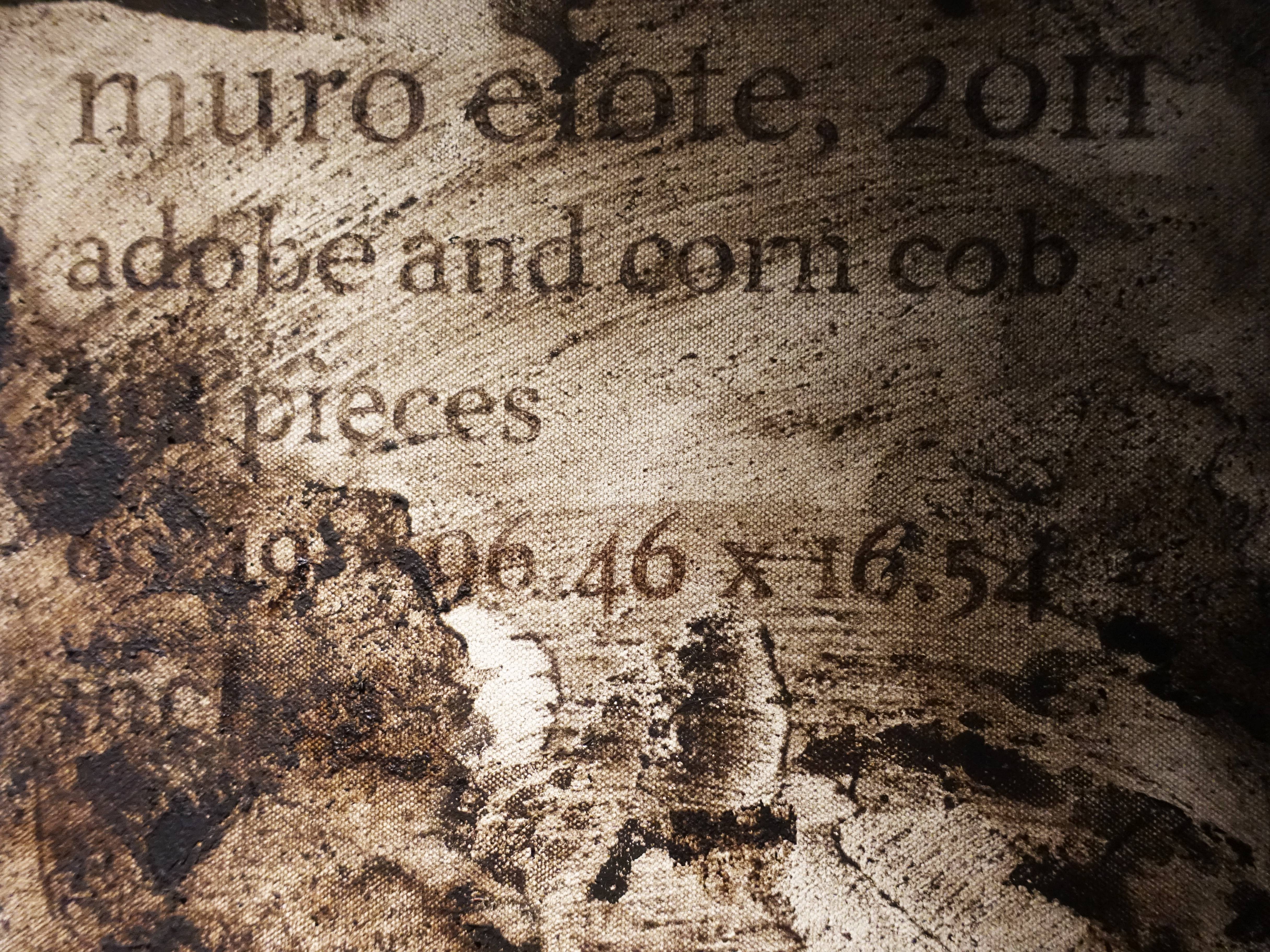羅智信，《Muro Elote》細節，28 x 35 cm，畫布、玉米黑粉菌做成的顏料，2019。