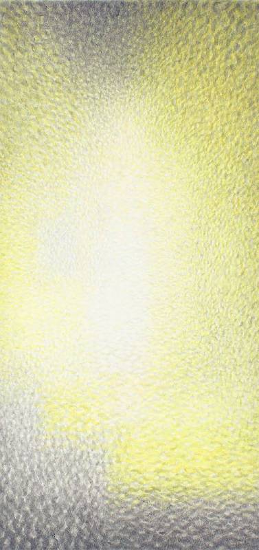 王舒野 WANG ShuYe	 	”下樓梯的裸女”的時空裸體・即(128) A Certain Space Time Nude of Nude Descending a Staircase : Identical (128)	墨、水彩、楮紙 Ink and Watercolor on kozogami Paper	201x96cm	2019