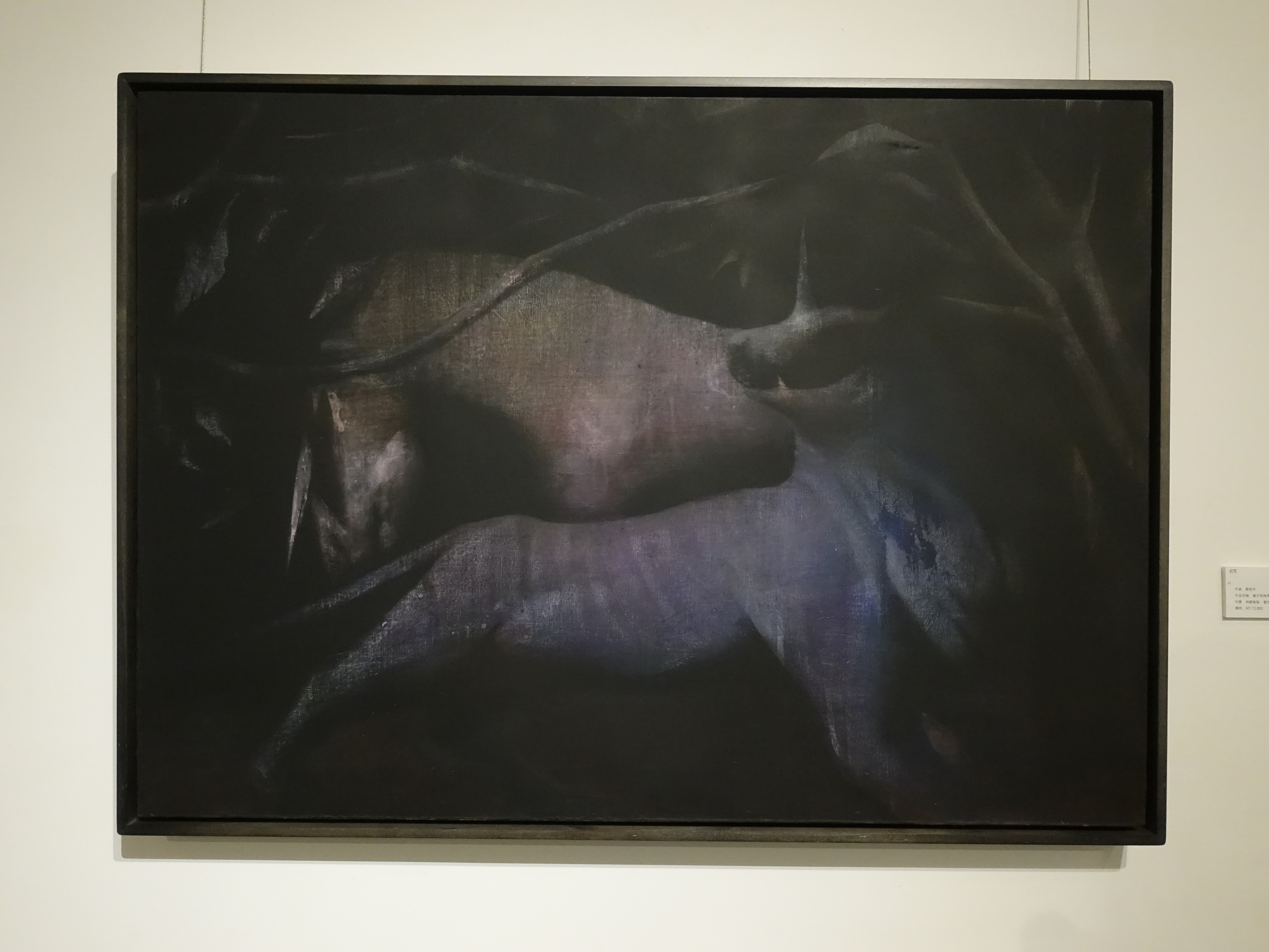 鄭思宇，《獅子與角馬》，100 x 80cm，無酸樹脂、壓克力、畫布，2016。