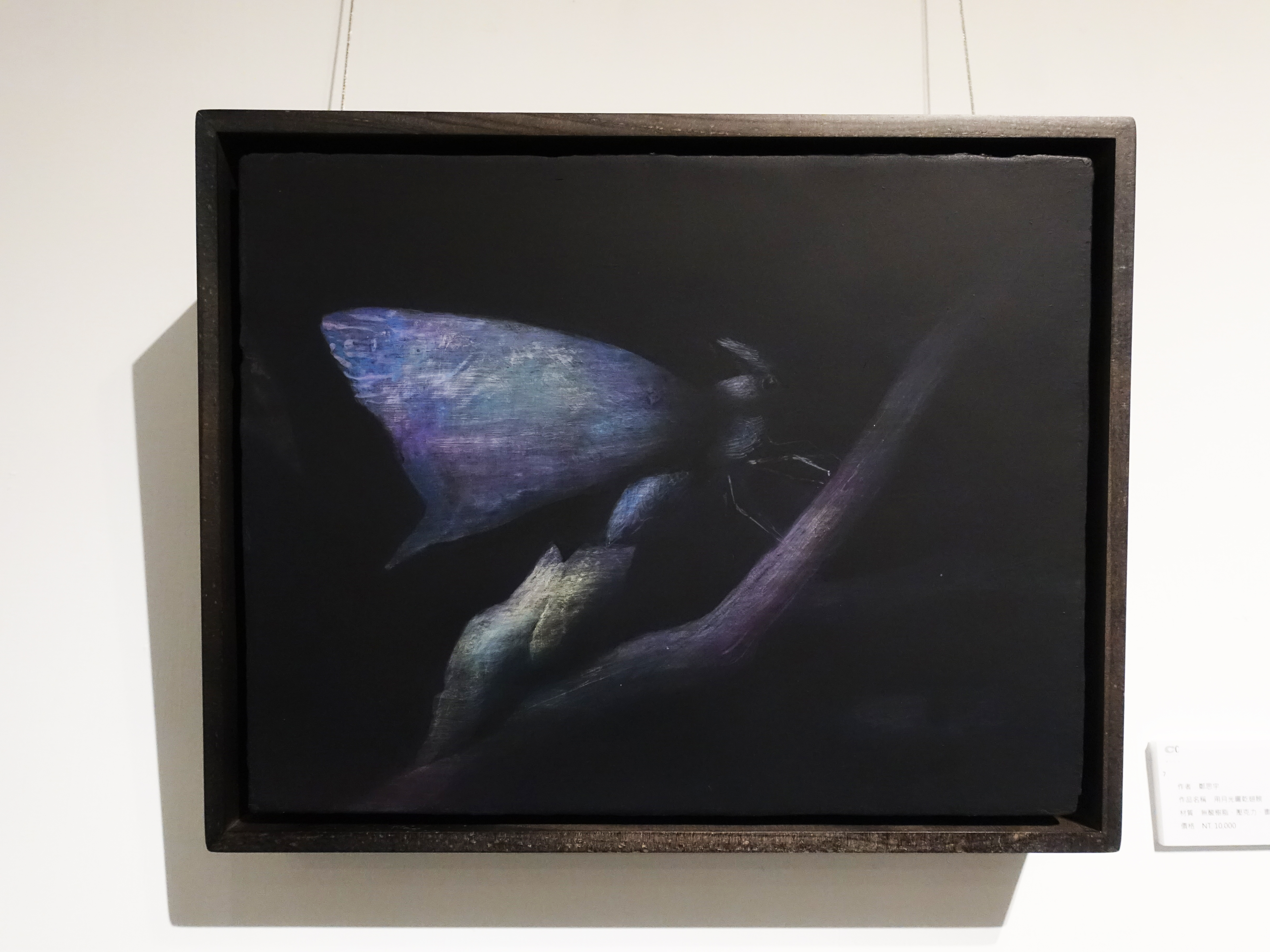 鄭思宇，《瞰》，35 x 27cm，無酸樹脂、壓克力、畫布，2019。