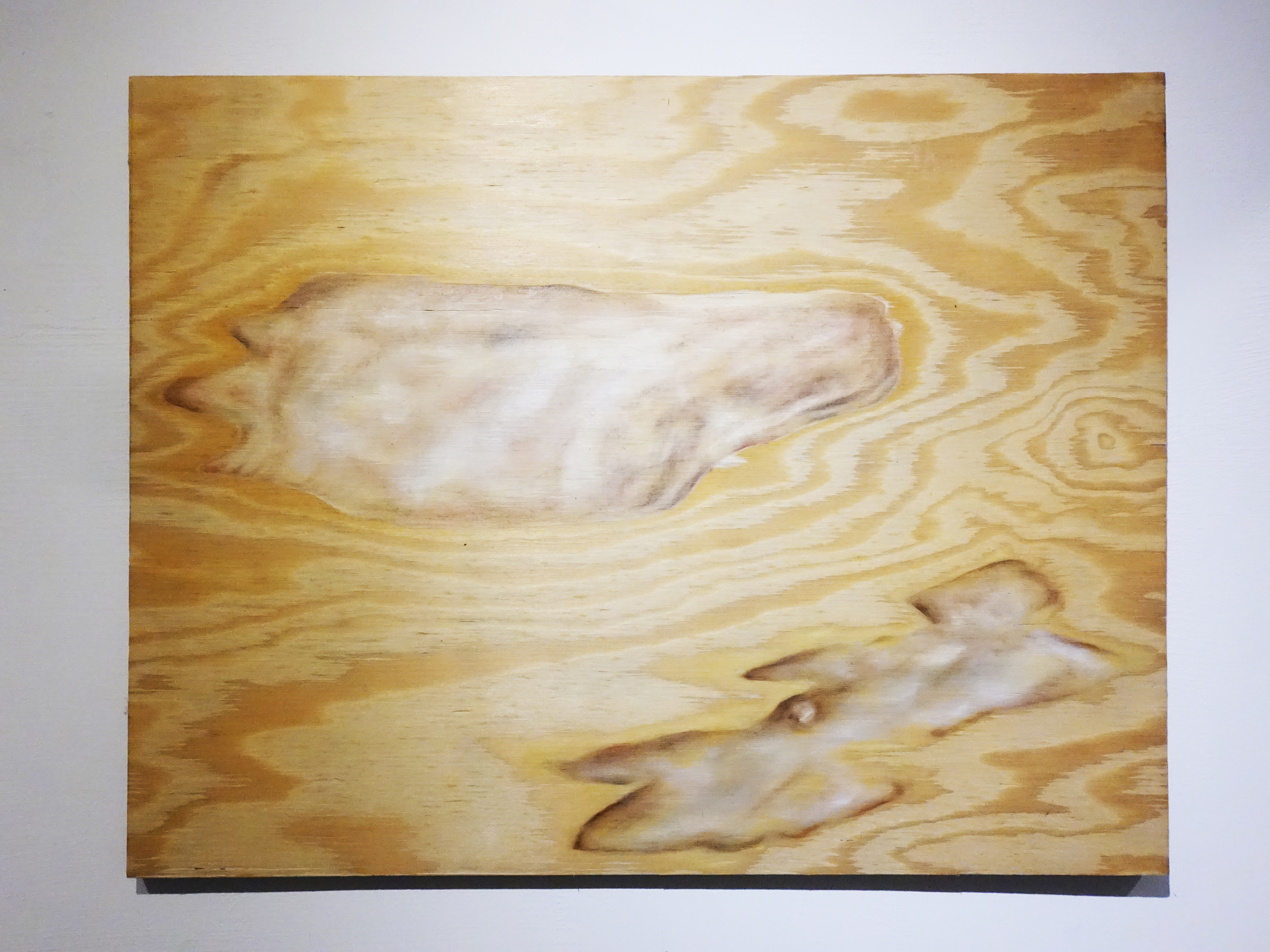 連師屏，《肉-足》，木板、油彩，53 x 43 cm，2017。