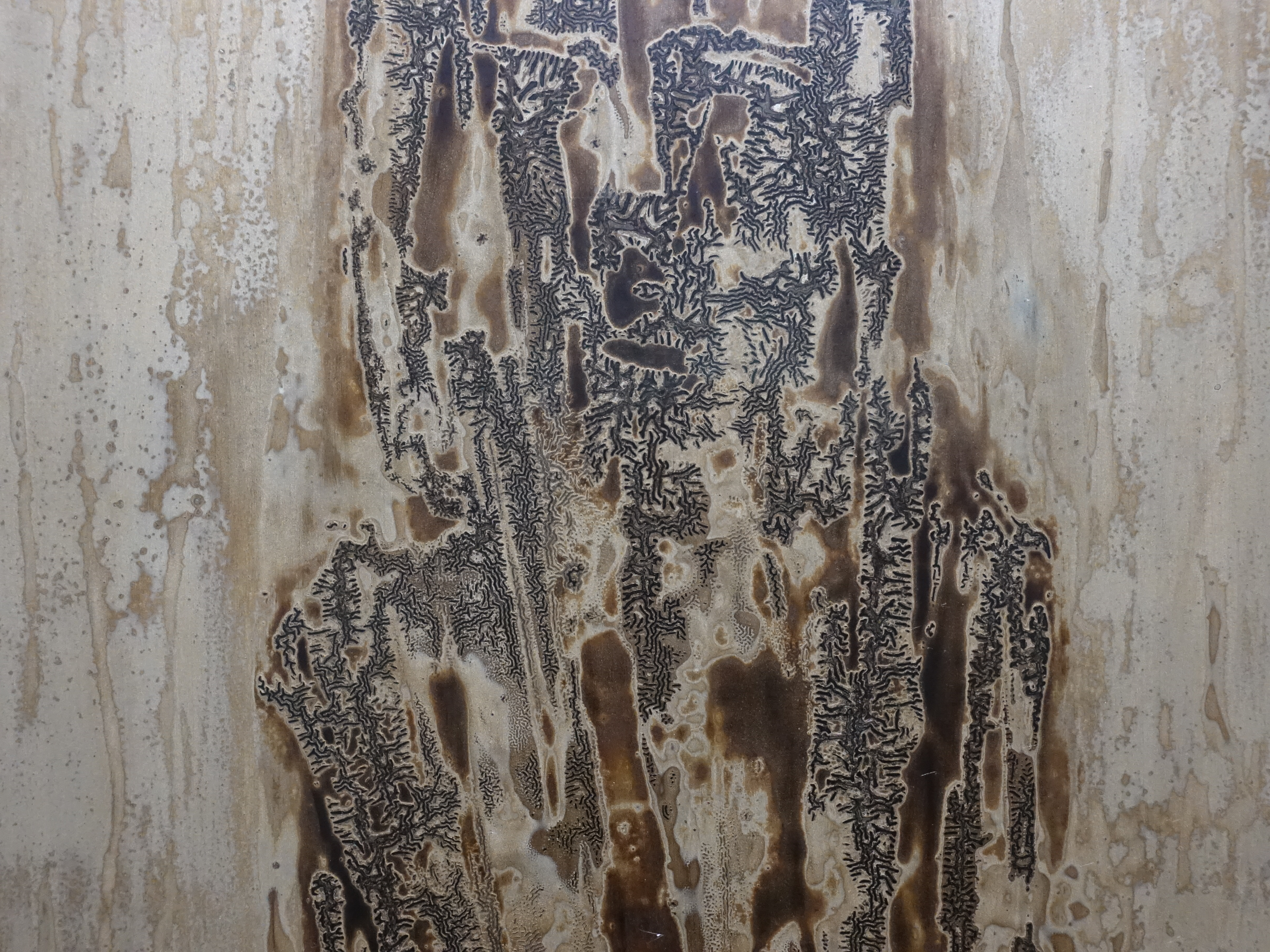 阮春綠，《過去反響》細節，42 x 80 cm，漆畫，2018。