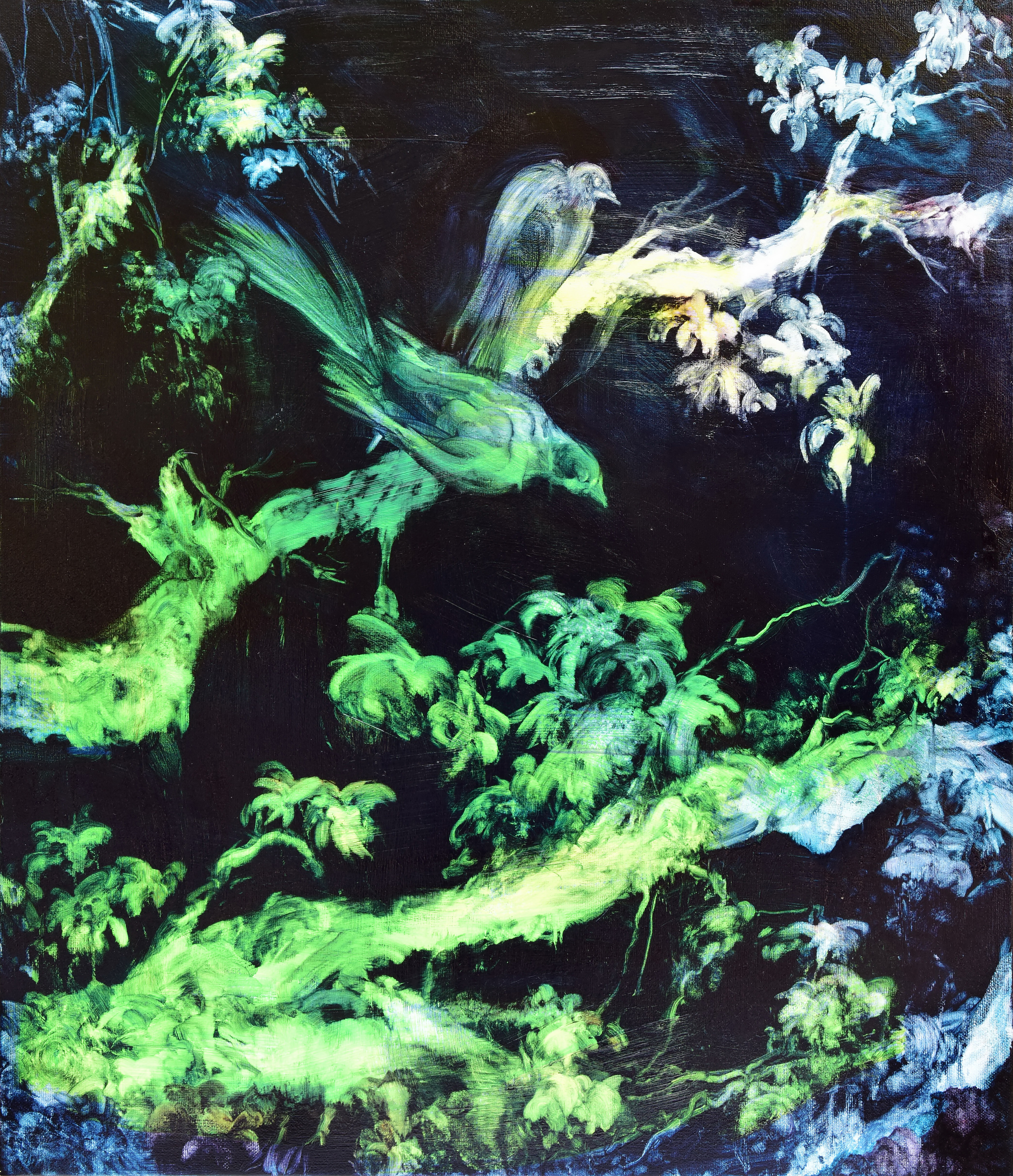 常陵 五花肉系列-肉花鳥-花裡藏 2019 油彩 105x90cm