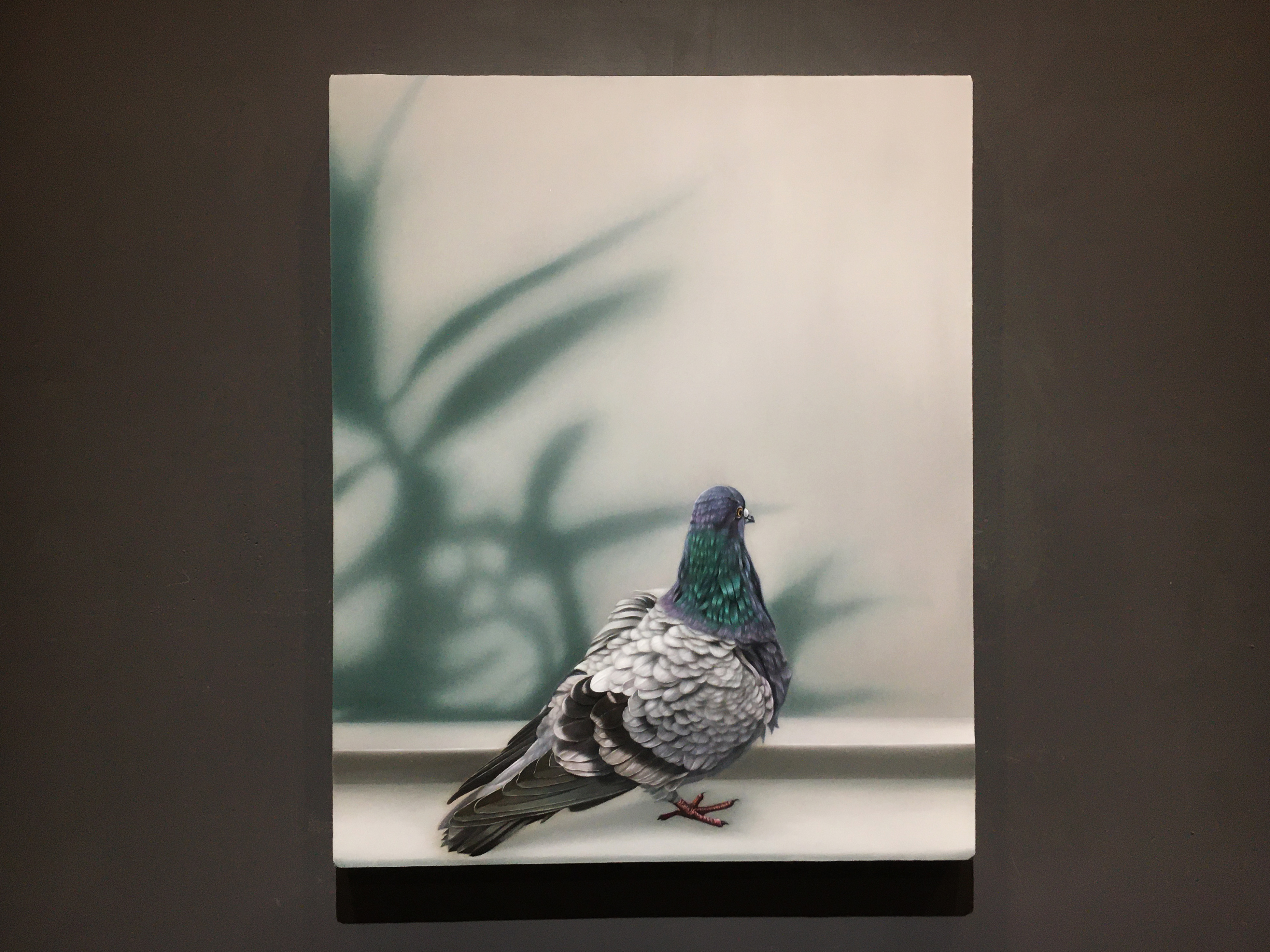 顏群《窗外的鳥叫聲》，63x53cm，油彩畫布，2020。