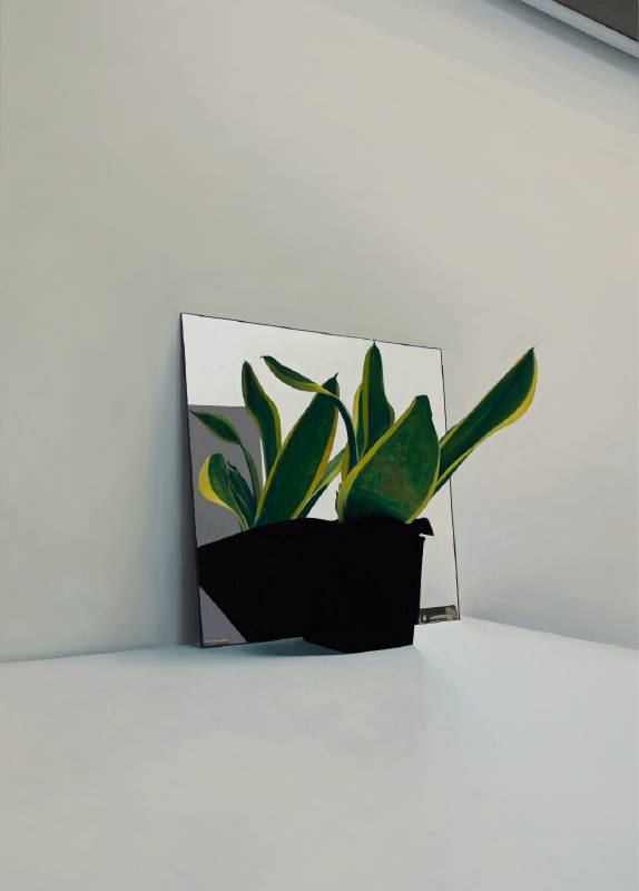 藝術家 廖震平 - 《盆栽與鏡子》