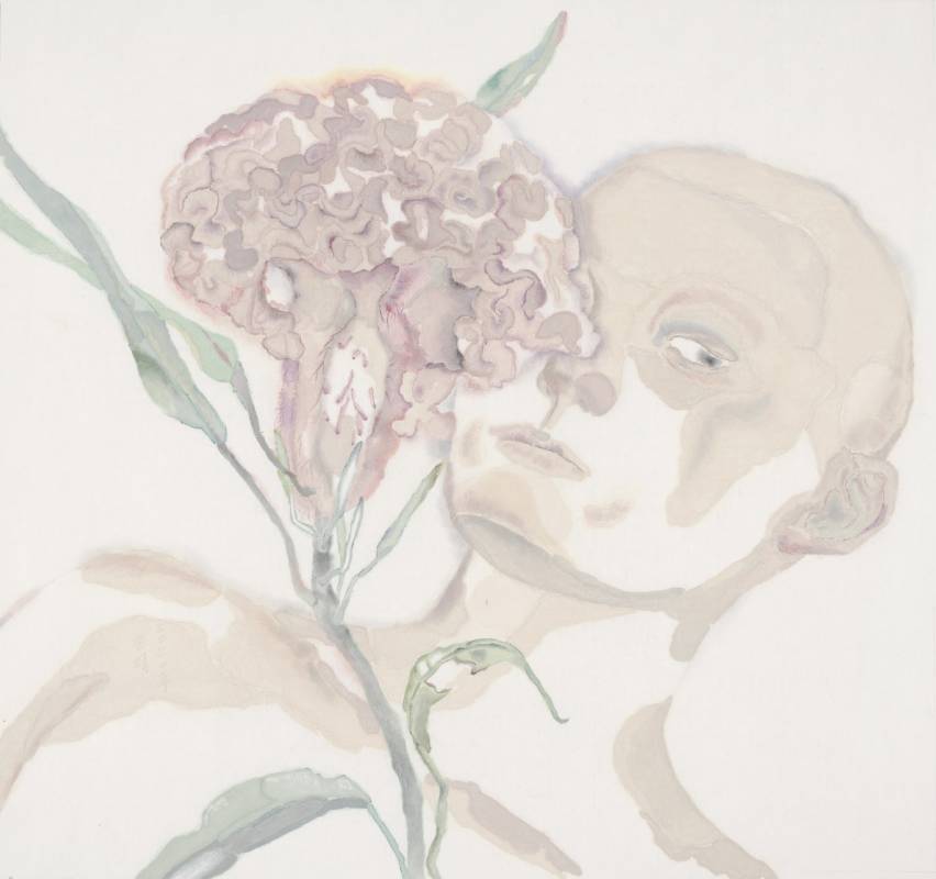 【 凝視雞冠花 】胡在晴 | 51.8x56.8 cm | 水墨設色、盛上、紙本 | 2021