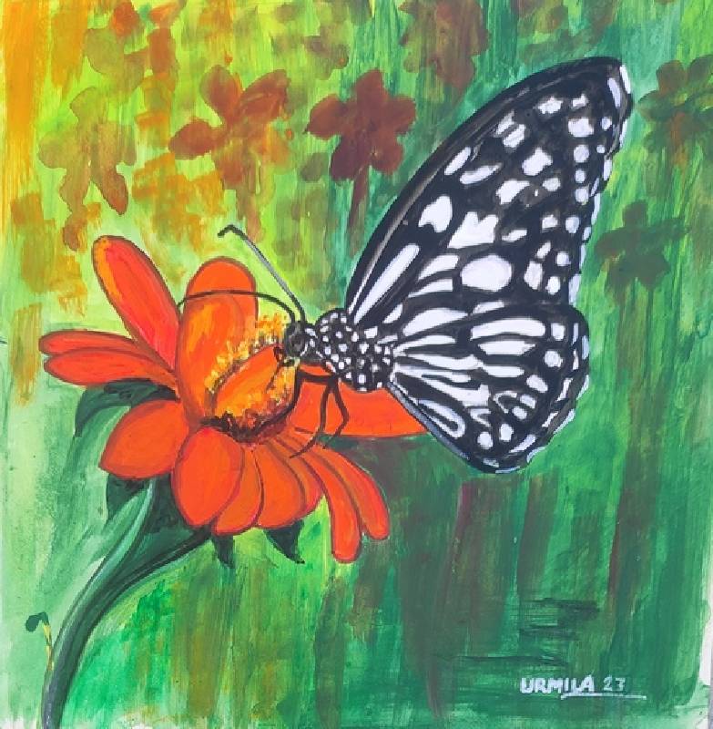 Urmila Gahnolia_Butterfly_sheet-Acrylic_19 x 19 cm_2023_India