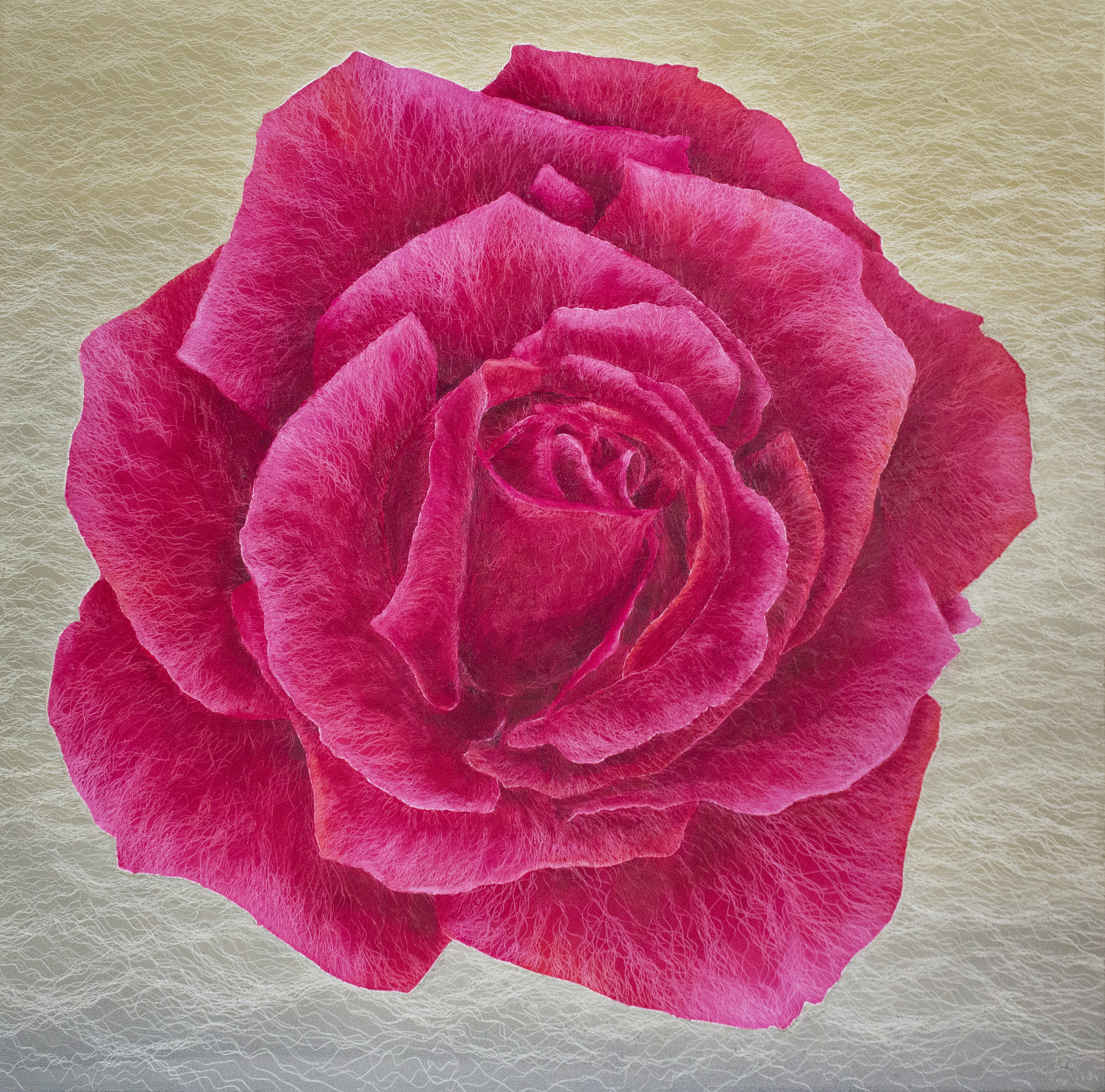 鄭麗雲 香檳玫瑰 Champagne Rose  2018 油彩畫布 135x135cm