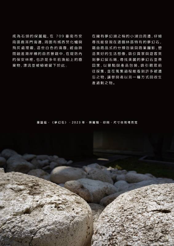 唐藝庭，《夢幻石》，2023年，保麗龍、印刷，尺寸依現場而定