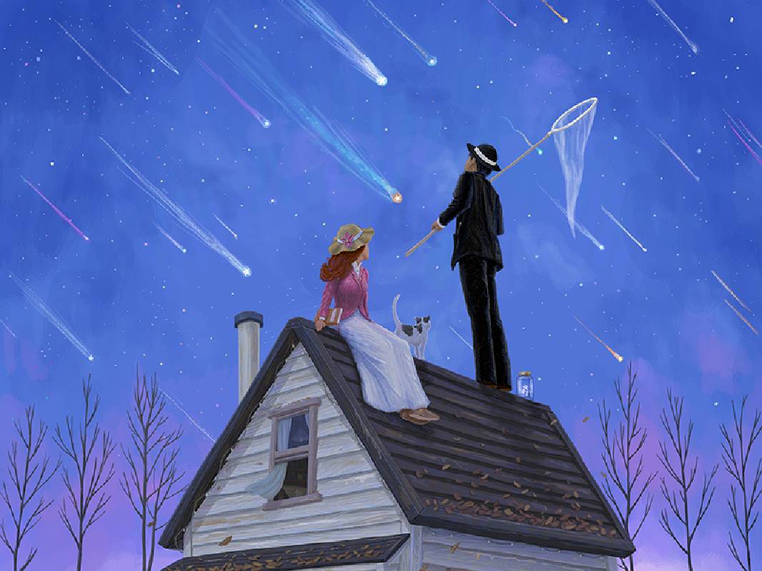 〈最完美的星星 The Perfect Stars〉｜主視覺在靜謐的夜空下，一對人物與貓咪在屋頂仰望流星，一人手持捕網，彷彿要將最耀眼的星光收藏。童話與現實交織，溫柔描繪出追夢與陪伴的詩意時光。