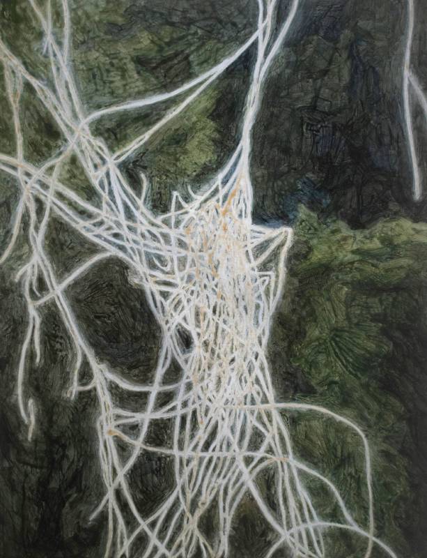 楊承諺作品〈形狀助力的藤蔓〉