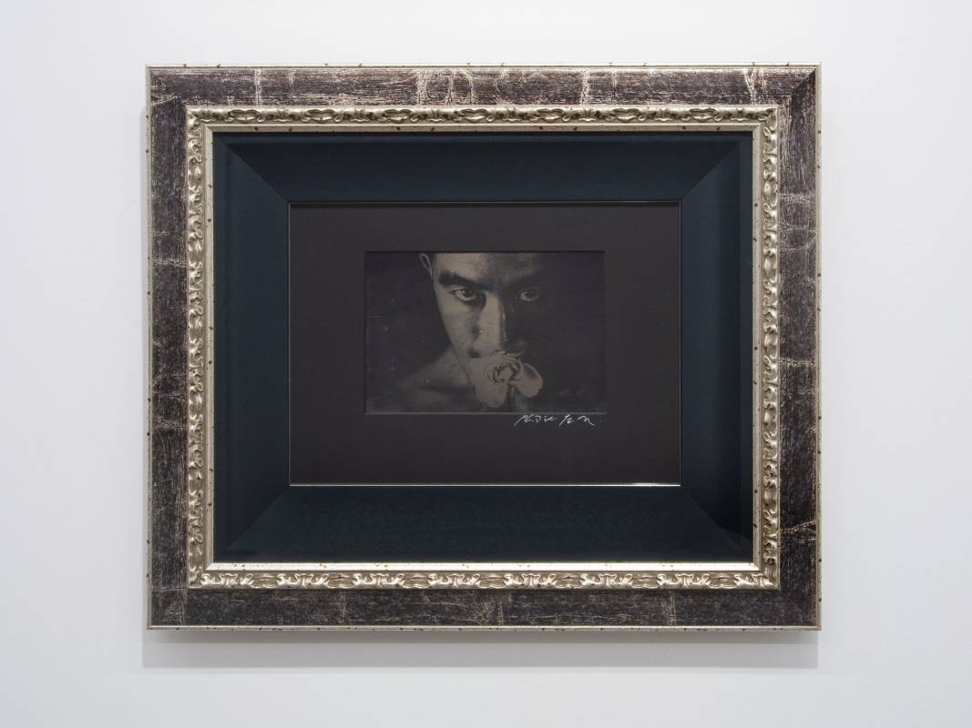 細江英公 Hosoe Eikoh, 薔薇刑 作品32 Ordeal by Roses #32, 1965  獨件玻璃板unique daguerreotype, executed later, image size 15.8 x 10.6 cm