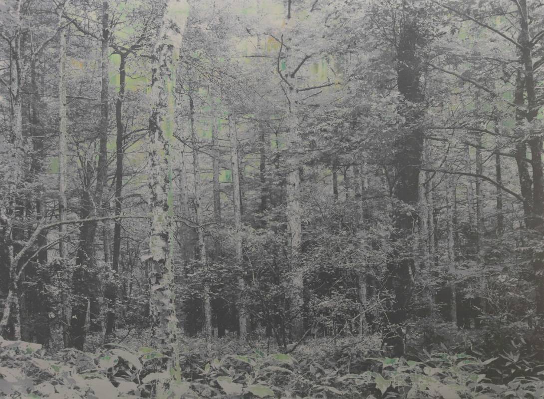 能條雅由|海市蜃樓#118 110×150cm 壓克力顏料、銀箔、鋁箔、棉布、木板 2025