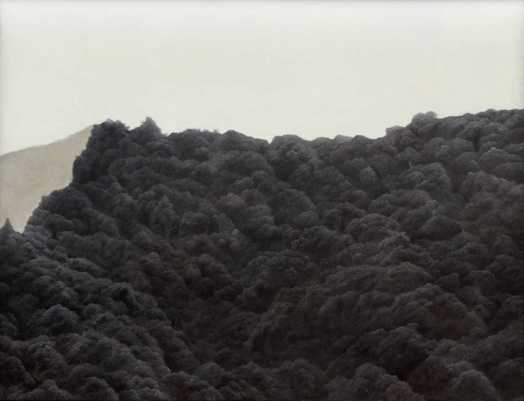 楊奕軒｜無聲 XV 41×53cm 油彩、亞麻布、打底劑 2024