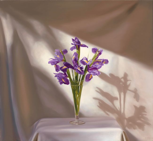 林浩白-暖陽與紫色鳶尾花
