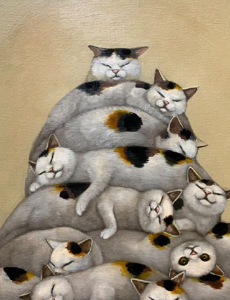 飯沼由貴-Pile of cats