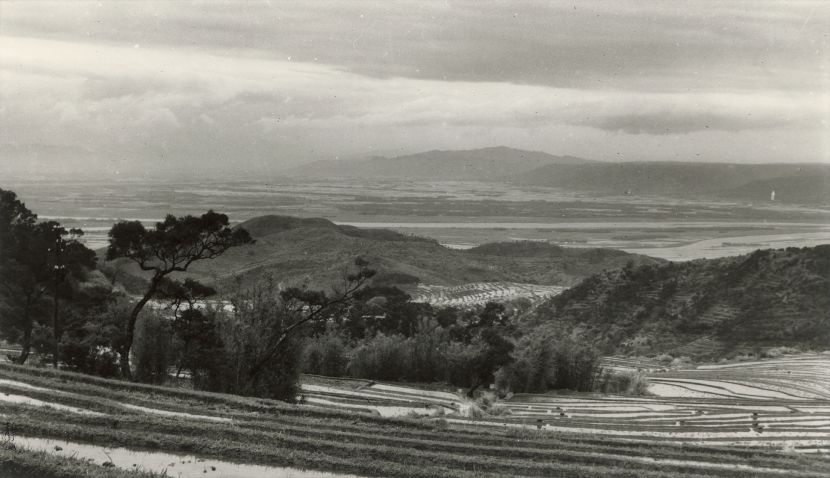 郎靜山-田家樹木低