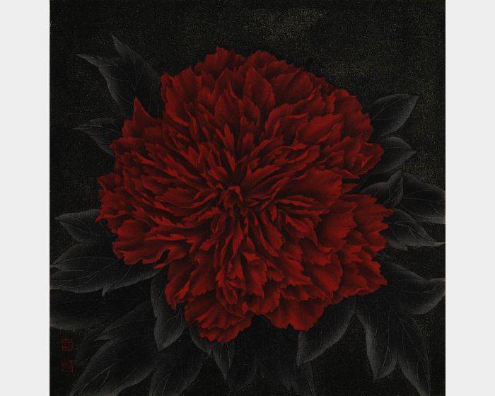 牡丹花