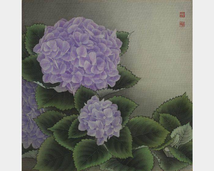 紫色繡球 