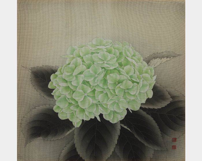 繡球花