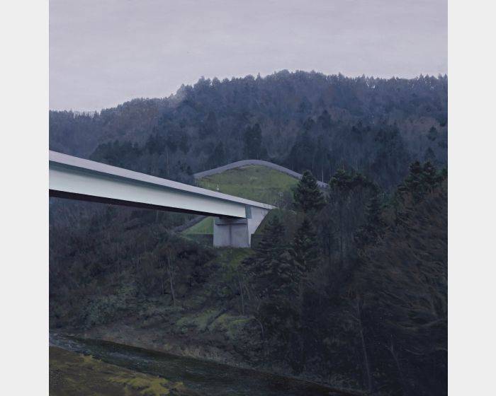 山中的橋 bridge in mountain
